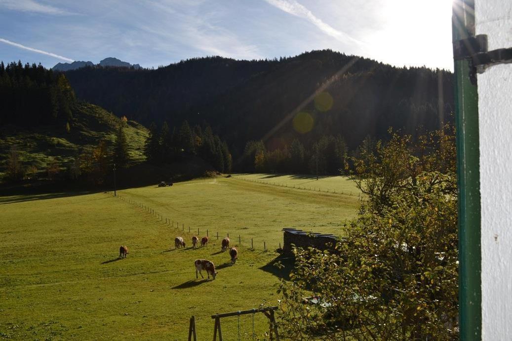 Ferienwohnungen Foidlhof Hochfilzen Eksteriør bilde