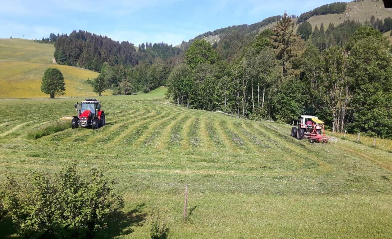 Ferienwohnungen Foidlhof Hochfilzen Eksteriør bilde